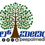 peepal media