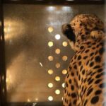 WhatsApp-Image-2022-09-17-at-4.43.34-PM