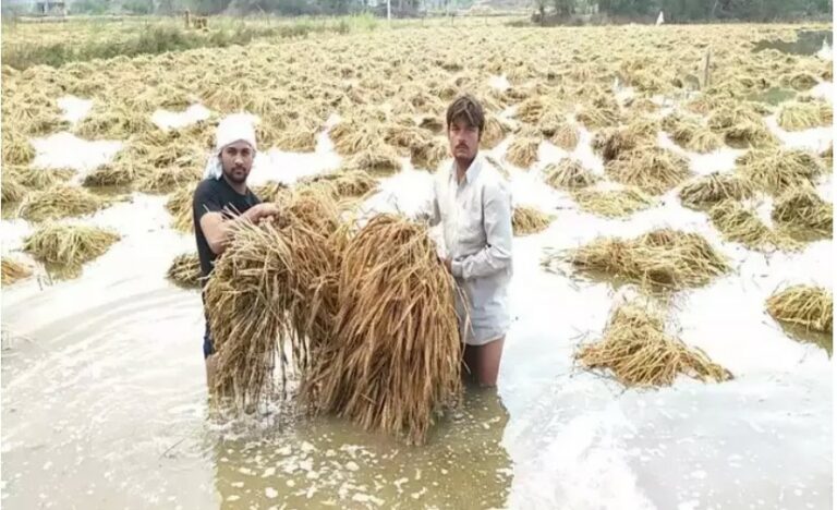 ಬೆಳೆ ನಾಶಕ್ಕೆ 2.30 ಕೋಟಿ ರೈತರಿಗೆ ಪರಿಹಾರ  : ಸಿಎಂ ಬೊಮ್ಮಾಯಿ