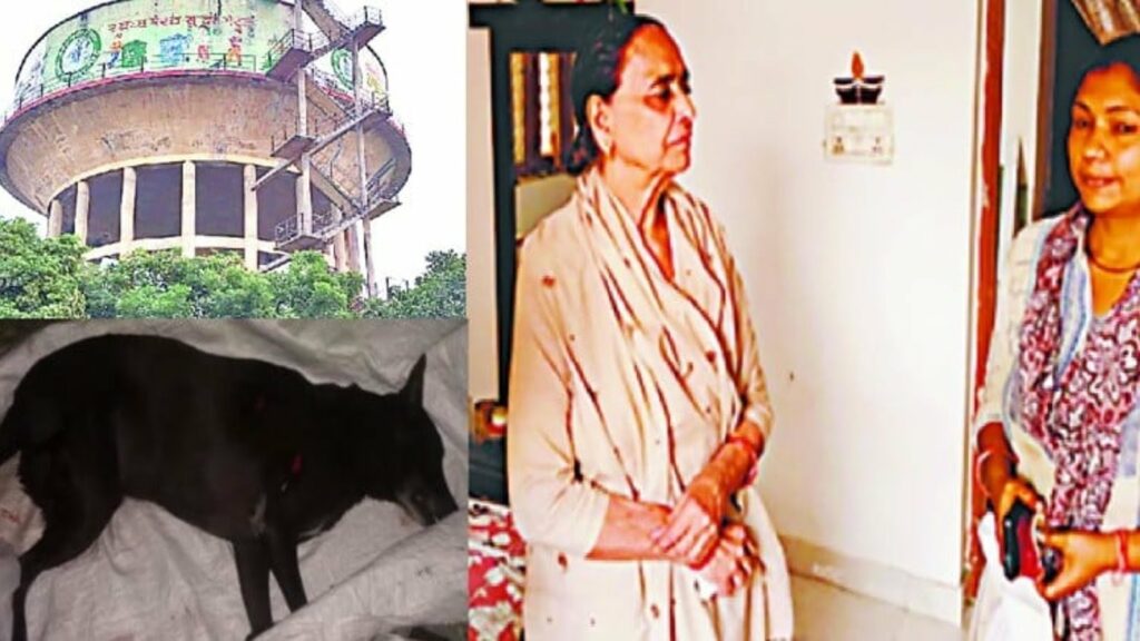 ಬೀದಿನಾಯಿ ಸಾವಿನಿಂದ ನೊಂದು ವಿದ್ಯಾರ್ಥಿನಿ ಆತ್ಮಹತ್ಯೆ