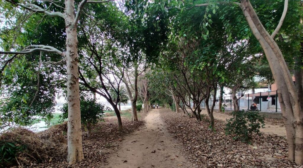 ಬೆಂಗಳೂರು: ಮಲ್ಲೇಶ್ವರಂನಲ್ಲಿ ಮರಗಳ ಗಣತಿ