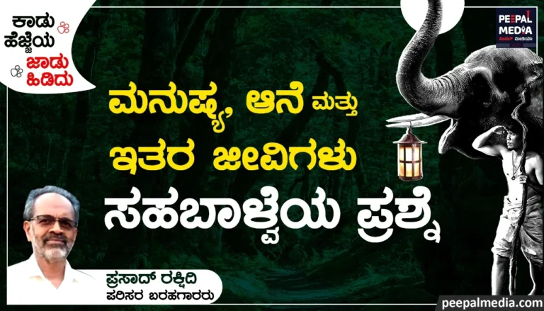 ಮನುಷ್ಯ, ಆನೆ ಮತ್ತು ಇತರ ಜೀವಿಗಳು: ಸಹಬಾಳ್ವೆಯ ಪ್ರಶ್ನೆ