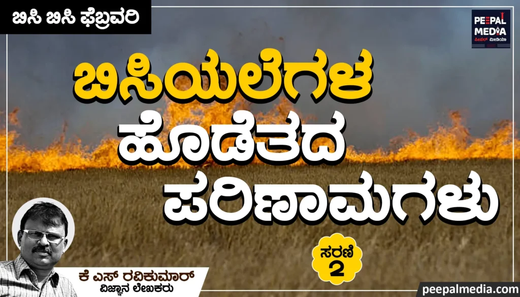 <strong>ಬಿಸಿಯಲೆಗಳ ಹೊಡೆತದ ಪರಿಣಾಮಗಳು</strong>