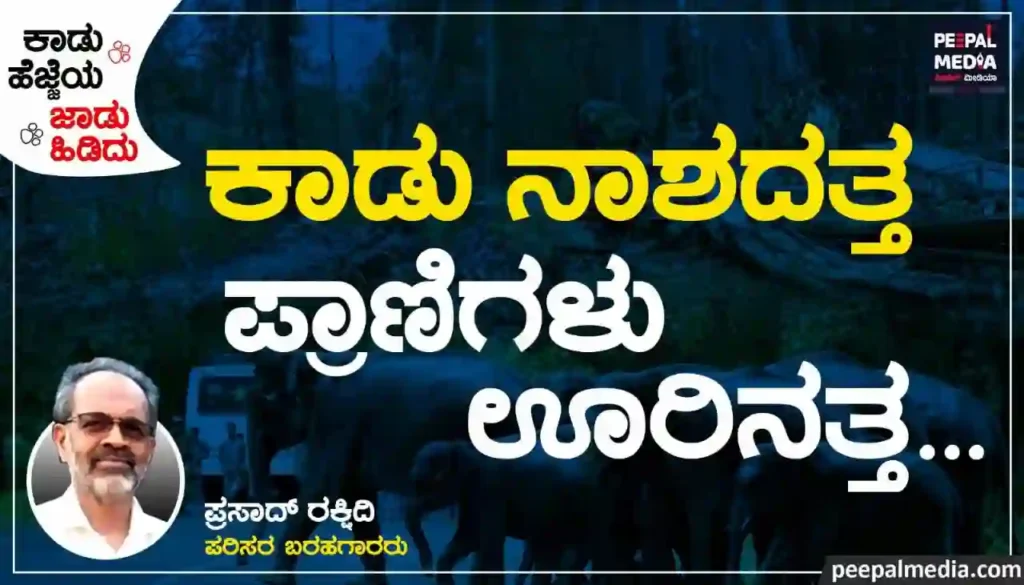 <strong>ಮಾನವ ಪ್ರಾಣಿ ಸಂಘರ್ಷ | ಕಾಡು ನಾಶದತ್ತ… ಪ್ರಾಣಿಗಳು ಊರಿನತ್ತ</strong>