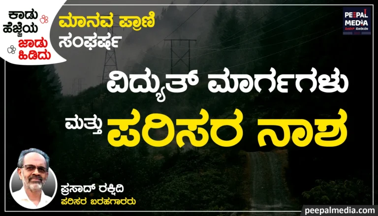 ಜಲವಿದ್ಯುತ್ ಮಾರ್ಗಗಳು ಮತ್ತು ಪರಿಸರ ನಾಶ