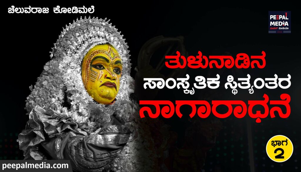 ತುಳುನಾಡಿನ ಸಾಂಸ್ಕೃತಿಕ ಸ್ಥಿತ್ಯಂತರ- ನಾಗಾರಾಧನೆ