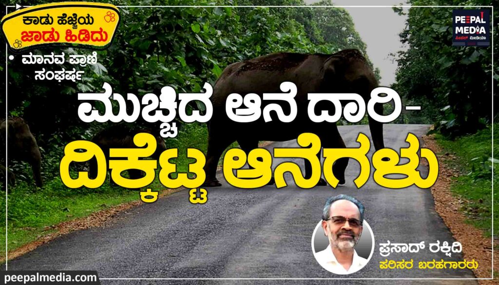   ಮುಚ್ಚಿದ ಆನೆ ದಾರಿ | ದಿಕ್ಕೆಟ್ಟ ಆನೆಗಳು