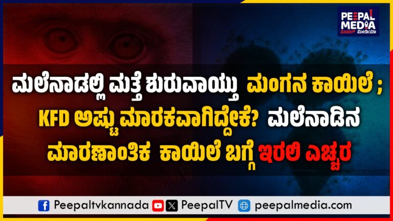 ಮಲೆನಾಡಲ್ಲಿ ಮತ್ತೆ ಶುರುವಾಯ್ತು ಮಂಗನ ಕಾಯಿಲೆ ; KFD ಅಷ್ಟು ಮಾರಕವಾಗಿದ್ದೇಕೆ?