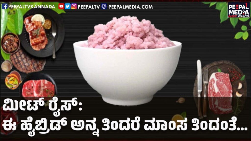 ಮೀಟ್ ರೈಸ್: ಈ ಹೈಬ್ರಿಡ್ ಅನ್ನ ತಿಂದರೆ ಮಾಂಸ ತಿಂದಂತೆ…