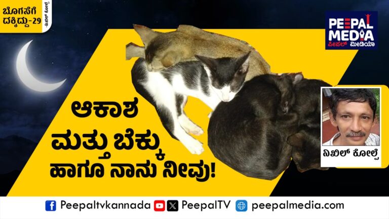 ಬೊಗಸೆಗೆ ದಕ್ಕಿದ್ದು – 29 : ಆಕಾಶ ಮತ್ತು ಬೆಕ್ಕು ಹಾಗೂ ನಾವೂ, ನೀವೂ