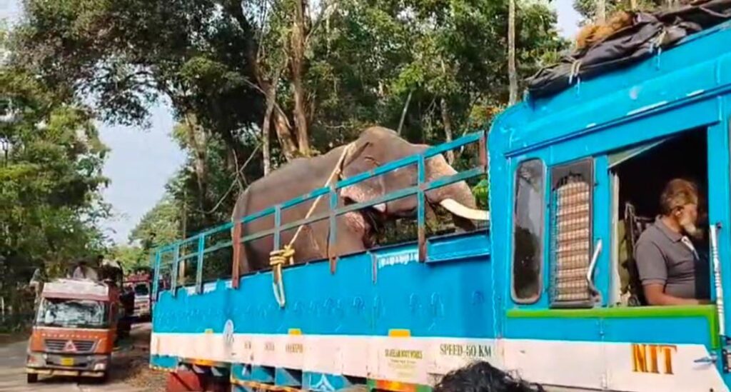 ಪುಂಡಾನೆಗಳಿಗೆ ರೇಡಿಯೋ ಕಾಲ‌ರ್ ಅಳವಡಿಕೆ ಕಾರ್ಯಾಚರಣೆ ಮೊದಲ ದಿನ ಸಿಗದ ಫಲ