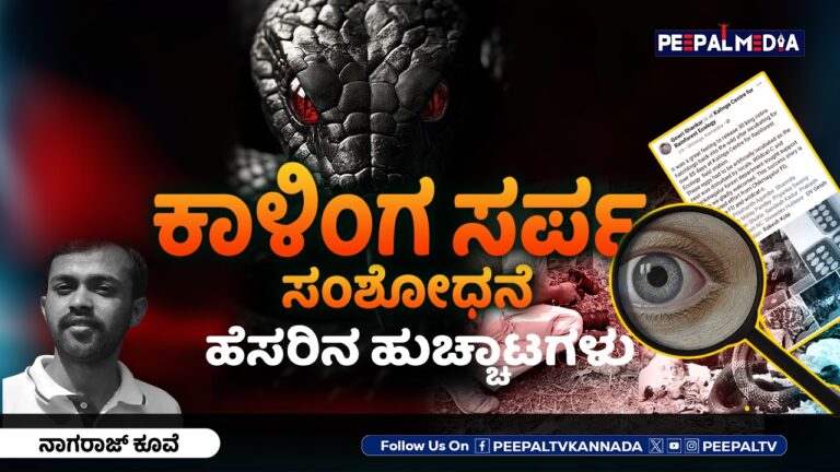 ಕಾಳಿಂಗ ಸರ್ಪ ಸಂಶೋಧನೆ ಹೆಸರಿನ ಹುಚ್ಚಾಟಗಳು