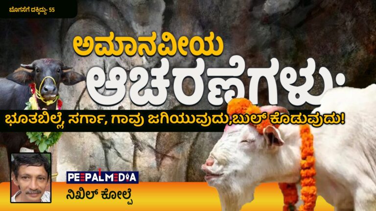 ಬೊಗಸೆಗೆ ದಕ್ಕಿದ್ದು- 55 : ಅಮಾನವೀಯ ಆಚರಣೆಗಳು: ಭೂತಬಿಲ್ಲೆ, ಸರ್ಗಾ, ಗಾವು ಜಗಿಯುವುದು, ಬುಲ್ ಕೊಡುವುದು!