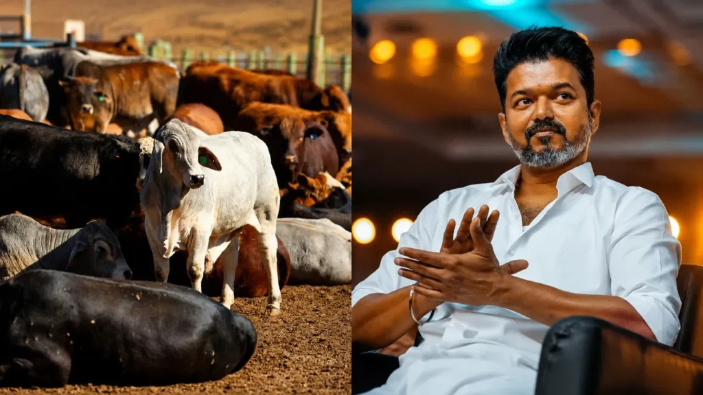 ಗೋಹತ್ಯೆ ನಿಷೇಧಿಸಿದ್ದ ಮದ್ರಾಸ್ ಹೈಕೋರ್ಟ್ ಆದೇಶಕ್ಕೆ ಸುಪ್ರೀಂ ಕೋರ್ಟ್ ತಡೆ: ಸಿಎಂ ವಿಜಯ್ ಸರ್ಕಾರಕ್ಕೆ ಭಾರಿ ರಿಲೀಫ್